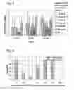 Fig. 03 - Supplemented matrices for the repair of bone fractures