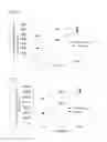Fig. 02 - SOFT DRINK, GRAPE SKIN EXTRACT, AND METHODS OF PREPARATION OF SAME