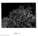 Fig. 10 - Process for the preparation of an edible dispersion comprising oil and structuring agent