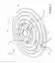 Fig. 02 - Ground Cover for Surrounding an Upright Element