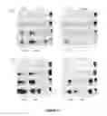Fig. 07 - Methods for estimating prion concentration in fluids and tissue by quantitative PMCA