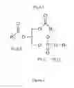 Fig. 02 - Enzymatic Assay for the Quantitative Determination of Phospholipase A1 or A2 Activity in a Sample