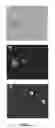 Fig. 03 - Method and kit for assessing viable cells