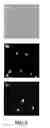 Fig. 07 - Method and kit for assessing viable cells