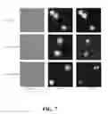 Fig. 08 - Method and kit for assessing viable cells