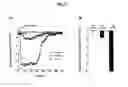 Fig. 10 - Probe for detection and quantification of nitric oxide, and method for detecting and quantifying nitric oxide using the same