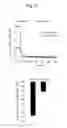 Fig. 14 - Probe for detection and quantification of nitric oxide, and method for detecting and quantifying nitric oxide using the same