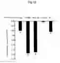 Fig. 19 - Probe for detection and quantification of nitric oxide, and method for detecting and quantifying nitric oxide using the same