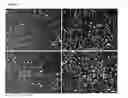 Fig. 05 - Blood-brain barrier model