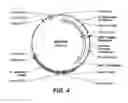 Fig. 06 - promoter