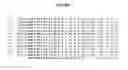 Fig. 02 - DNA polymerases with increased 3′-mismatch discrimination