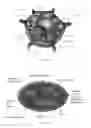Fig. 03 - Photobioreactor system for mass production of microorganisms