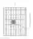 Fig. 99 - LOC DEVICE FOR ELECTROCHEMILUMINESCENT DETECTION OF TARGET NUCLEIC ACID SEQUENCES IN A FLUID WITH CALIBRATION CHAMBER CONTAINING PROBES DESIGNED TO BE NON-COMPLEMENTARY WITH ANY NUCLEIC ACID SEQUENCES IN THE FLUID