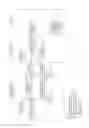 Fig. 58 - LOC WITH DIGITAL MEMORY TO STORE EPIDEMIOLOGICAL UPDATES