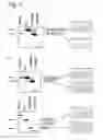 Fig. 02 - Modulation of exon recognition in pre-mRNA by interfering RNA structure