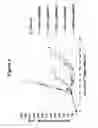 Fig. 09 - CD19 binding agents and uses thereof