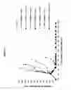 Fig. 12 - CD19 binding agents and uses thereof