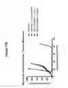 Fig. 23 - CD19 binding agents and uses thereof
