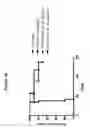 Fig. 26 - CD19 binding agents and uses thereof