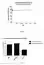 Fig. 03 - Cardiomyocyte medium with dialyzed serum