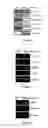 Fig. 04 - PLURIPOTENT STEM CELLS, METHOD FOR PREPARATION THEREOF AND USES THEREOF