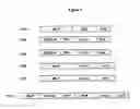 Fig. 06 - METHOD AND CONSTRUCTS FOR INCREASING RECOMBINANT PROTEIN PRODUCTION IN PLANTS DEHYDRATION STRESS