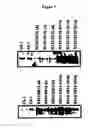 Fig. 08 - METHOD AND CONSTRUCTS FOR INCREASING RECOMBINANT PROTEIN PRODUCTION IN PLANTS DEHYDRATION STRESS