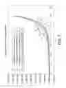 Fig. 03 - Assay method for detecting primary amines