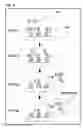 Fig. 03 - Immunoassay method