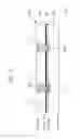 Fig. 02 - Stack package having reduced electrical connection length suitable for high speed operations and method of manufacturing the same