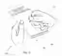 Fig. 03 - Device for sharpening and polishing needles, pins, and miscellaneous pointed articles