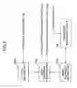 Fig. 04 - Radio communications apparatus and method