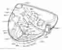 Fig. 01 - Golf club head