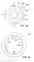 Fig. 22 - Golf club head