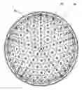 Fig. 01 - High performance golf ball having a reduced-distance