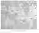 Fig. 01 - Aluminum boron carbide composite and method to form said composite