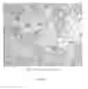 Fig. 02 - Aluminum boron carbide composite and method to form said composite
