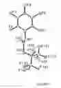 Fig. 02 - Fluorinated Alkoxy-Imino Catalyst Components