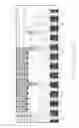 Fig. 94 - MICROFLUIDIC DEVICE FOR DETECTION OF NUCLEIC ACID TARGETS WITH ELECTROCHEMILUMINESCENT PROBES