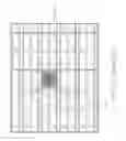 Fig. 99 - LOC DEVICE FOR AMPLIFYING AND DETECTING TARGET NUCLEIC ACID SEQUENCES USING ELECTROCHEMILUMINESCENT RESONANT ENERGY TRANSFER, STEM-AND-LOOP PROBES WITH COVALENTLY ATTACHED PRIMERS