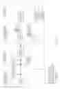 Fig. 56 - MICROFLUIDIC DEVICE FOR RAPID PCR AMPLIFICATION