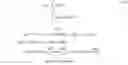 Fig. 34 - LOC FOR DETECTION OF HYBRIDIZATION OF NUCLEIC ACID SEQUENCES WITH PCR AMPLIFICATION USING LINKER PRIMERS