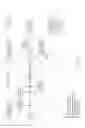 Fig. 56 - GENETIC ANALYSIS LOC WITH HYBRIDIZATION ARRAY WITH NEGATIVE CONTROL COMPRISING EMPTY CHAMBERS