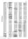 Fig. 17 - Method of determining types I, II, III, IV or V or methicillin-resistant (MRSA) in a biological sample