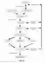 Fig. 09 - BIFUNCTIONAL POLYPEPTIDE COMPOSITIONS AND METHODS FOR TREATMENT OF METABOLIC AND CARDIOVASCULAR DISEASES
