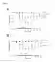 Fig. 07 - METHODS OF DIAGNOSING AND TREATING NEURODEGENERATIVE DISEASES