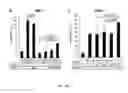 Fig. 10 - Inhibitors of BCL-2