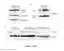 Fig. 02 - CATHEPSIN L PROTEOLYTICALLY PROCESSES HISTONE H3 DURING MOUSE EMBRYONIC STEM CELL DIFFERENTIATION