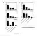 Fig. 08 - HDL particles for delivery of nucleic acids
