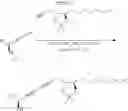 Fig. 168 - Compounds, compositions and methods for reducing toxicity and treating or preventing diseases